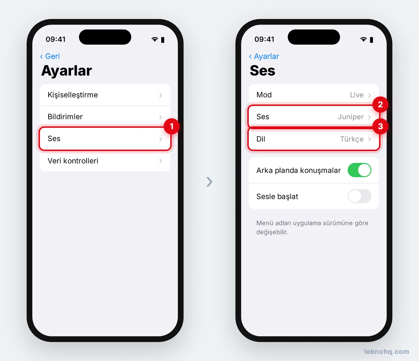 ChatGPT Ayarlar > Ses ekranında ses ve dil seçimi