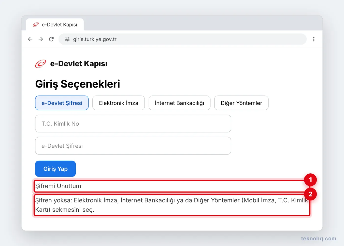 e-Devlet giriş sayfasındaki giriş seçenekleri